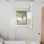 Vuki *